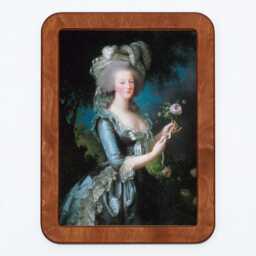 Marie-Antoinette Elisabeth Vig??e-Lebrun France French Revolution Classic Painting Wooden Framed Art Print - thumbnail 2