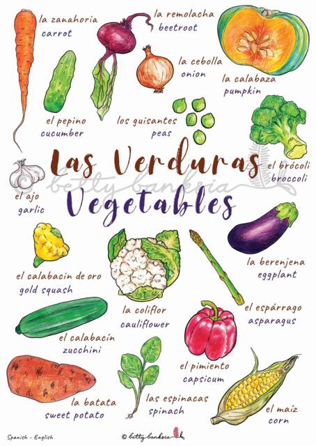 A3 Bilingual Poster, Vegetables, Verduras, Spanish, English, Educational Wall Chart, Classroom/Bedroom Decoration, Illustrated Language - image 1