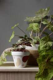 Hand Painted Terracotta Plant Pot Custom Colors, Drainage Hole - thumbnail 1