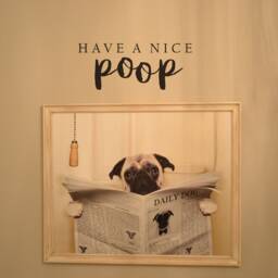 Have A Nice Poop Bathroom Wall Decal Bm681 - thumbnail 3