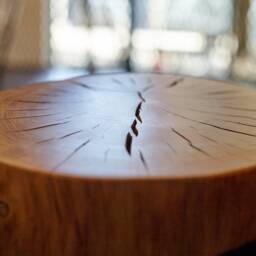 Tree Stump Table, Log Coffee Wood End Side Bedside Accent Stool, Trunk - thumbnail 3