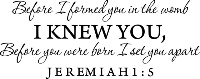 Before I Formed You in The Womb Printable Wall Art