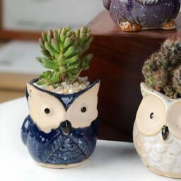 Owl Succulent Plant Pots With Bamboo Coaster/Quirky Indoor Home Decor Ceramic Mini Planter Office Desktop Pot Gift - thumbnail 3