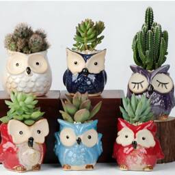 Owl Succulent Plant Pots With Bamboo Coaster/Quirky Indoor Home Decor Ceramic Mini Planter Office Desktop Pot Gift - thumbnail 2