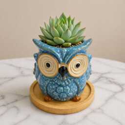 Owl Succulent Plant Pots With Bamboo Coaster/Quirky Indoor Home Decor Ceramic Mini Planter Office Desktop Pot Gift - thumbnail 4