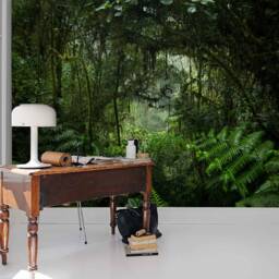 3D Rainforest Wallpaper Mural, Peel & Stick Green Wall Decor - thumbnail 3