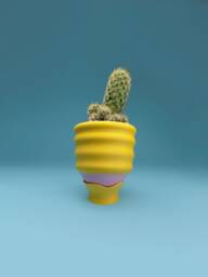 Small Yellow Wavy Planter - 3 - thumbnail 1