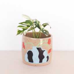 Floral Ceramic Planter- Small Indoor Cactus Plant Pot - Succulent Container - thumbnail 2