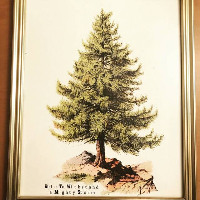 A Tree With Deep Roots Wall Art - image 1