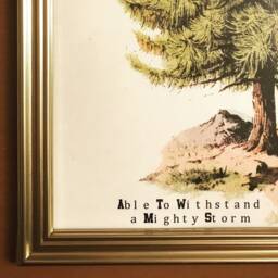 A Tree With Deep Roots Wall Art - thumbnail 2