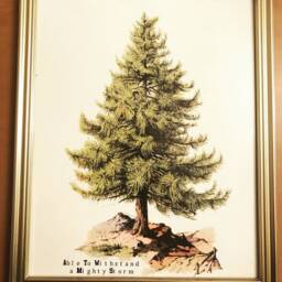 A Tree With Deep Roots Wall Art - thumbnail 1