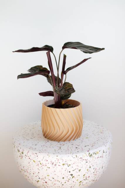 Large Planter Jamil Gro??er Blumentopf Indoor Pflanztopf ??bertopf Plant Pot Printed in Wood - image 1