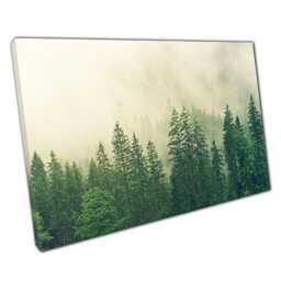 Foggy Woodland Canvas Print - Mysterious Nature Wall Art For Home Or Office D??cor - thumbnail 1