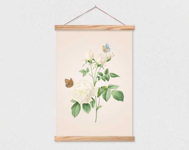Poster Hanger-White Rose With Butterflies Vintage Botanical Drawing Canvas Print Wood Simple Frame - image 1