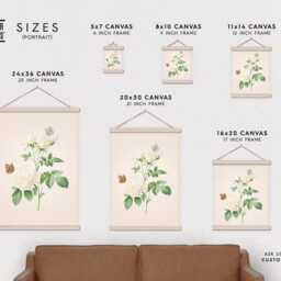 Poster Hanger-White Rose With Butterflies Vintage Botanical Drawing Canvas Print Wood Simple Frame - thumbnail 2