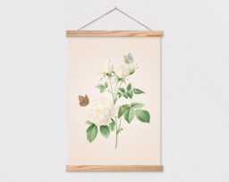 Poster Hanger-White Rose With Butterflies Vintage Botanical Drawing Canvas Print Wood Simple Frame - thumbnail 1