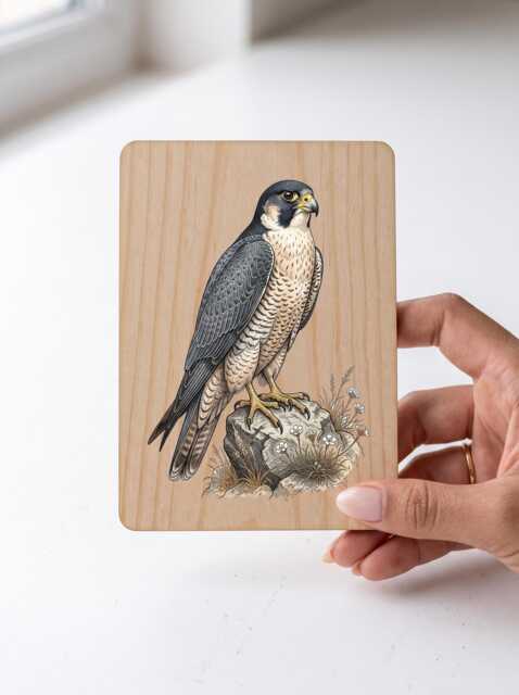 Peregrine Falcon Art Print - Vintage Illustration Bird Of Prey Pine Wooden Postcard Wall - image 1