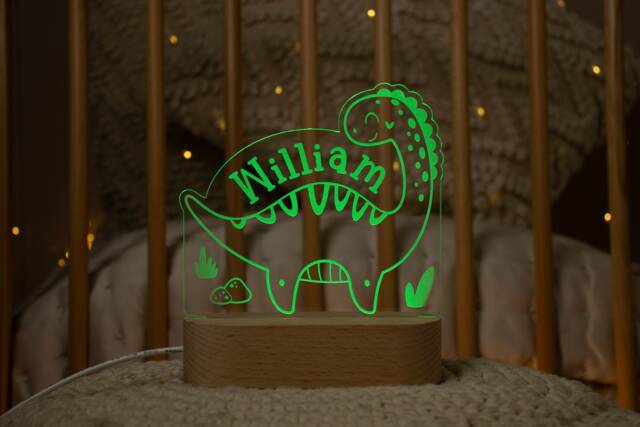 Dinosaur Night Light - Personalised Children's Kids Toddler Children Bedside Nightlight - image 1