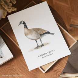 Bird Prints, Canada Goose, Home Decor Love Gift, Wall Posters - thumbnail 2