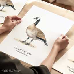 Bird Prints, Canada Goose, Home Decor Love Gift, Wall Posters - thumbnail 1