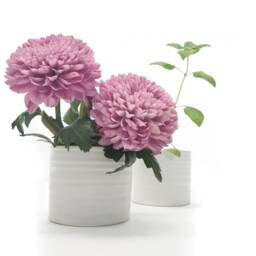 Pots For Plants, Ceramic Planter, Flower Pot Indoor, White Plant Textured, Small Round Planter 3, 4.5 Inch, Succulent Cactus Houseplant - thumbnail 3