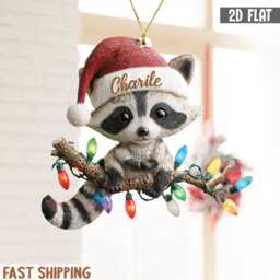 2D Flatcustom Raccoon Christmas Ornament, Custom Baby Name Acrylic Cute Tree Decor, Lover Gift - thumbnail 2