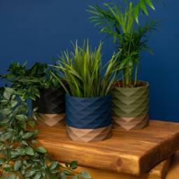 Indoor Plant Pot Navy Blue, Olive Green, Black & Gold, Planter - thumbnail 3