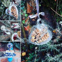 Vintage Teacup Bird Feeder Collie & Sheep Design, Wall Mounted - thumbnail 4