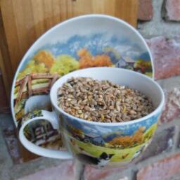 Vintage Teacup Bird Feeder Collie & Sheep Design, Wall Mounted - thumbnail 3