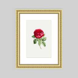Ornate Picture Frame With Mounts, Gold Photo Frame, Shabby Chic 12x10, 12x8, 14x11, 16x12, 18x12, 20x16, 6x4, 7x5, 8x6, 9x7, A2, A3, A4, A5, A6 - thumbnail 3