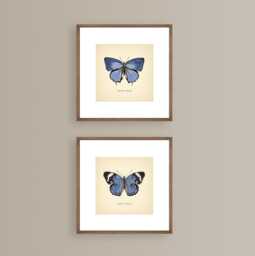 Blue Butterflies Set Of 2 Prints Botanical Print Square Butterfly Neutral Home Decor Vintage Wall Art - thumbnail 1
