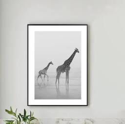 Giraffe Black & White Calming Wall Art Print Decor Poster A5, A4, A3, A2 - thumbnail 1