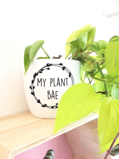 Plant Bae Decal For Planter Pot, Diy Vinyl