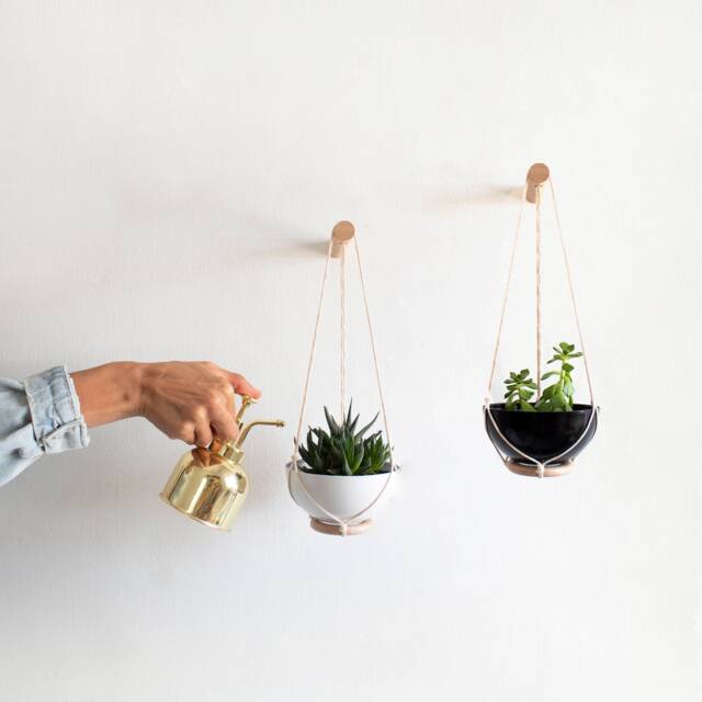Two Mini Succulent Planters , Small Wall Planter, Plant Hanger, Hanging, Cactus Hanger - image 1