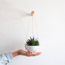 Two Mini Succulent Planters , Small Wall Planter, Plant Hanger, Hanging, Cactus Hanger - thumbnail 4