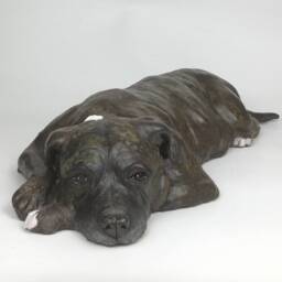 staffordshire Bull Terrier, Pet Memorial, Portrait, Dog Art, Gifts For Lovers, Clay Sculpture, Memorial - thumbnail 2