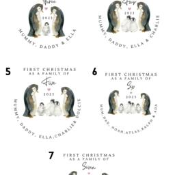 Personalised Christmas Stockings, Penguin Stocking & Sack, Gifts, Family Gift Xmas Bags Stockings Eve Gifts - thumbnail 2