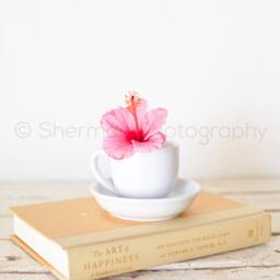 Flower Pillow Tea Cup Hibiscus - 16x16 18x18 20x20 Cover - thumbnail 2