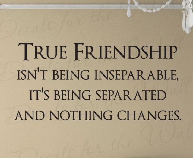 True Friendship Friends Quote Decal Decoration Wall Saying Lettering Sticker Vinyl Decor Art Mural Letters Fr21 - image 1