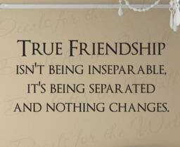 True Friendship Friends Quote Decal Decoration Wall Saying Lettering Sticker Vinyl Decor Art Mural Letters Fr21 - thumbnail 1