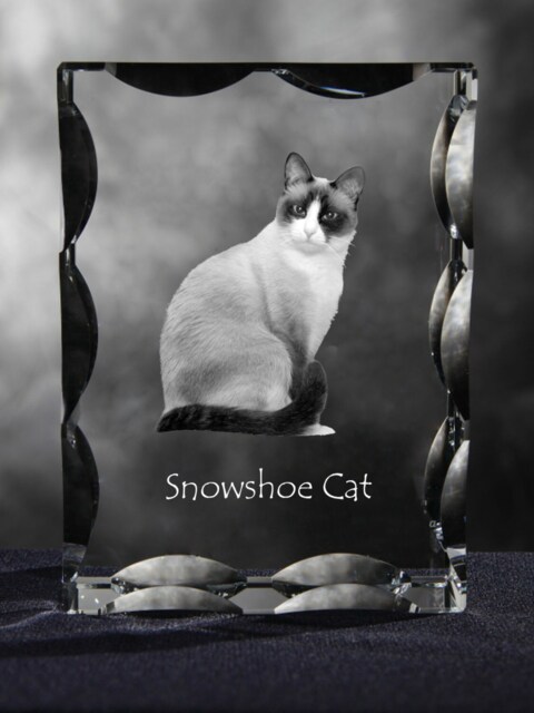 Snowshoe Cat , Cubic Crystal With Cat, Souvenir, Decoration, Limited Edition, Collection - image 1