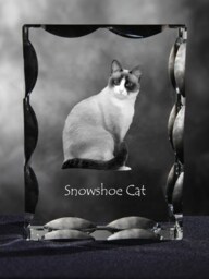 Snowshoe Cat , Cubic Crystal With Cat, Souvenir, Decoration, Limited Edition, Collection - thumbnail 1
