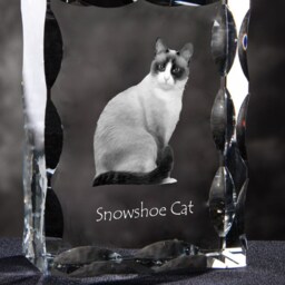 Snowshoe Cat , Cubic Crystal With Cat, Souvenir, Decoration, Limited Edition, Collection - thumbnail 3