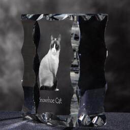 Snowshoe Cat , Cubic Crystal With Cat, Souvenir, Decoration, Limited Edition, Collection - thumbnail 2