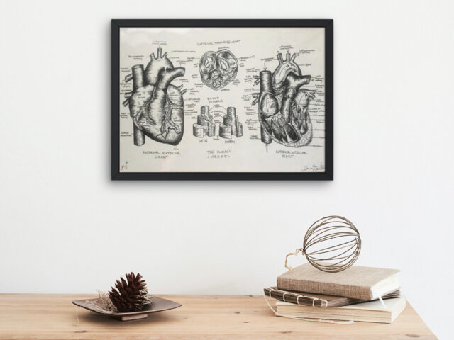 Anatomical Heart Wall Art, Nursing Student, Gift For Doctor, Nurse, Anatomy Study Guide, Graduation Gift, Cardiac Diagram, Illustration Art - image 1