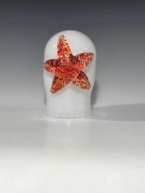 Glass Hanging Pendant - Red Starfish Nautical Decor John Gibbons - image 1