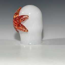 Glass Hanging Pendant - Red Starfish Nautical Decor John Gibbons - thumbnail 3
