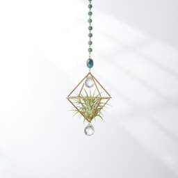 Green African Turquiose Hanging Air Plant Holder With Prism, Hanger, Display, Lover Gift, Decor