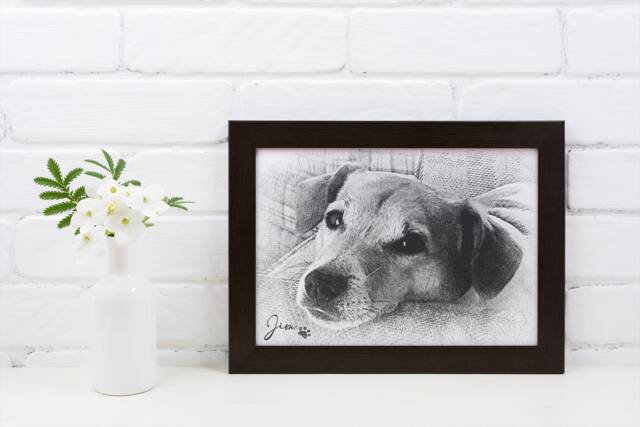 Personalised Pet Portrait Pencil Sketch Effect, Custom Framed Art Print - image 1