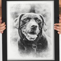 Personalised Pet Portrait Pencil Sketch Effect, Custom Framed Art Print - thumbnail 2